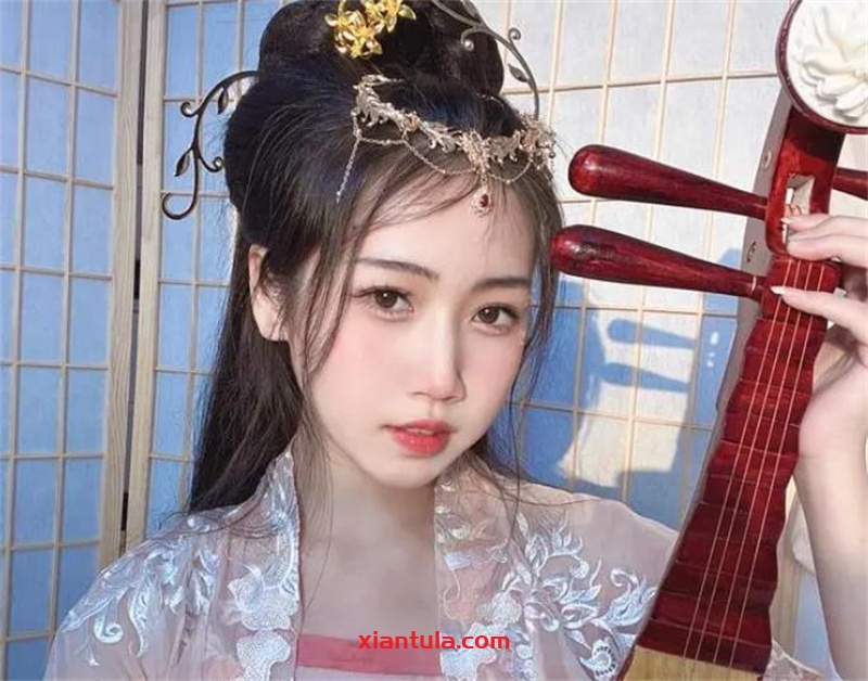 不呆猫图片更新完毕，37套的精彩生活与你共享