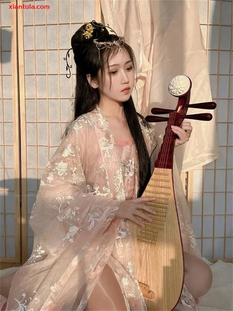 不呆猫图片更新完毕，37套的精彩生活与你共享