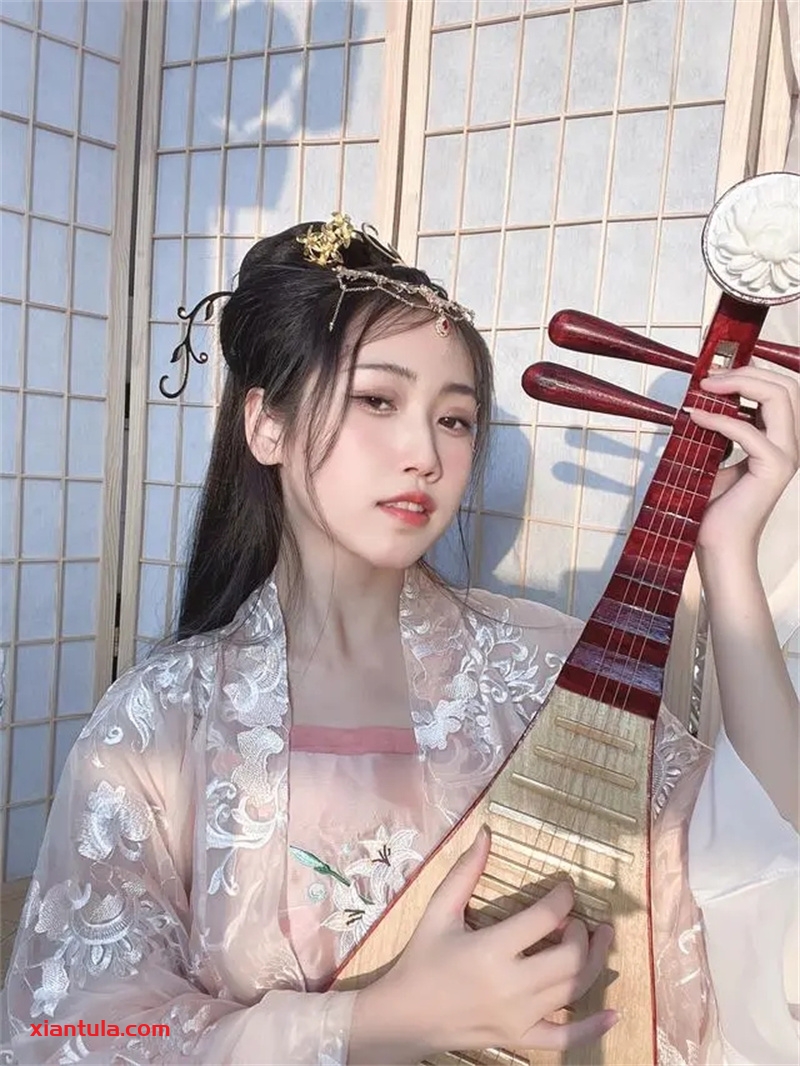 不呆猫图片更新完毕，37套的精彩生活与你共享