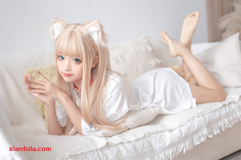 蠢沫沫黄豆粉猫娘尾巴插件147套，下班后更让人动心