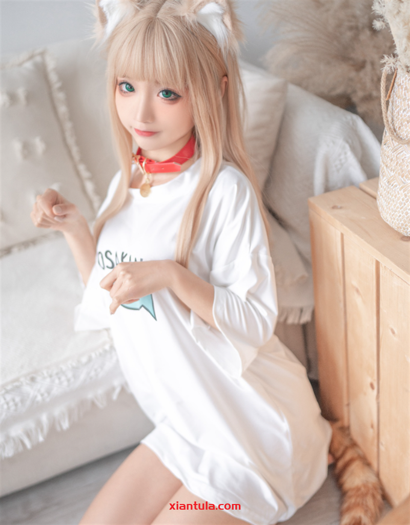 蠢沫沫黄豆粉猫娘尾巴插件147套，下班后更让人动心