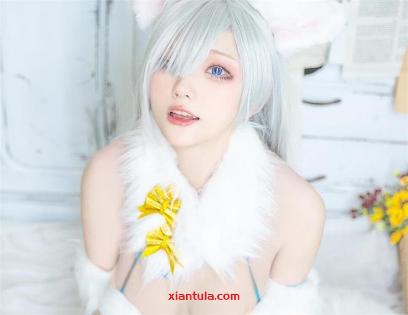 起司块wii21套超高清图片,全集免费分享 起司块wii21套超高清图片,全集免费分享