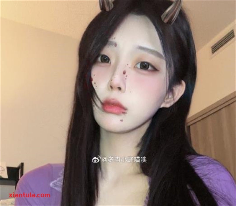 多肉小野猫最全微密资源，多套搭配变宠儿