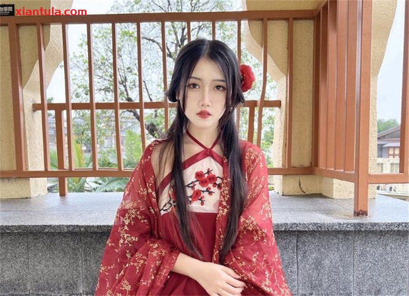 不呆猫全部古风作品分享,宫廷仕女图太经典 不呆猫全部古风作品分享,宫廷仕女图太经典