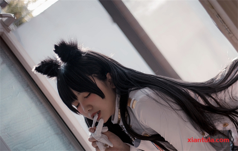 阿半今天很开心付费内容,猫踩奶笑成表情包 阿半今天很开心付费内容,猫踩奶笑成表情包