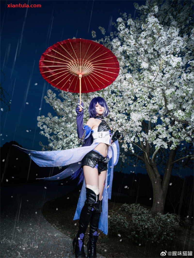 腥味猫罐：二次元红伞图片与她的个人秘密！