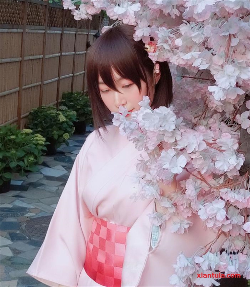 探秘白银81:如何用真空纯白作品和真心俘获粉丝? 探秘白银81:如何用真空纯白作品和真心俘获粉丝?