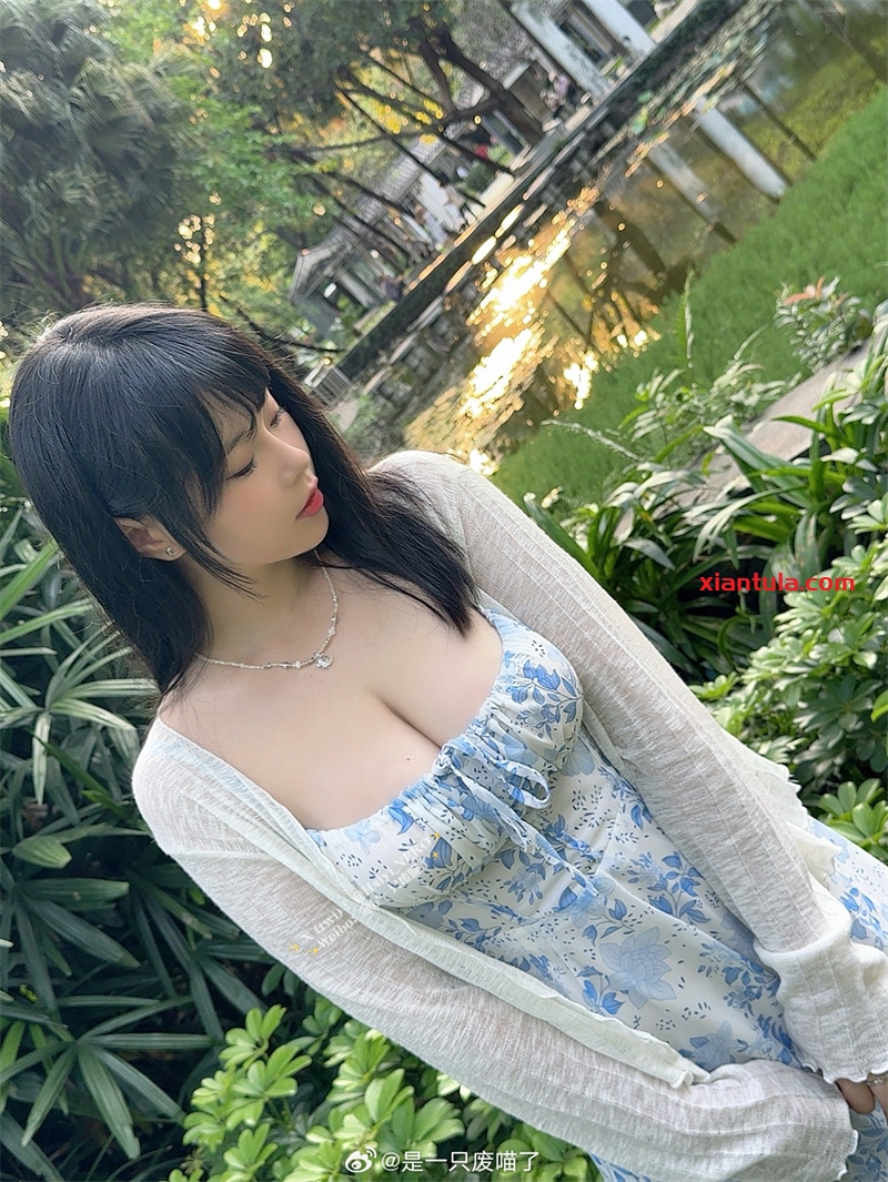 “是一只废喵了”入行揭秘:从新人到超人气的高清图片合集 “是一只废喵了”入行揭秘:从新人到超人气的高清图片合集