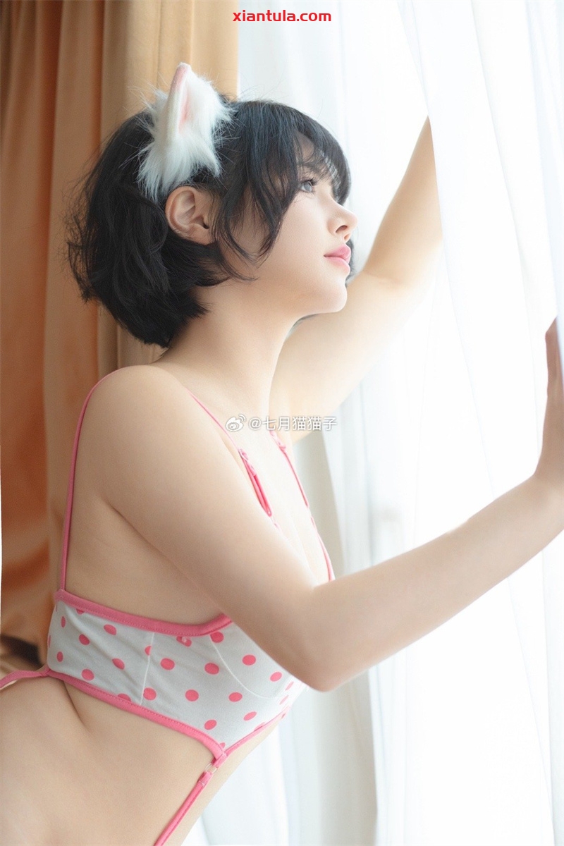 七月喵子最新力作曝光！兔女系列与幻想兽娘集的创意秘密揭秘