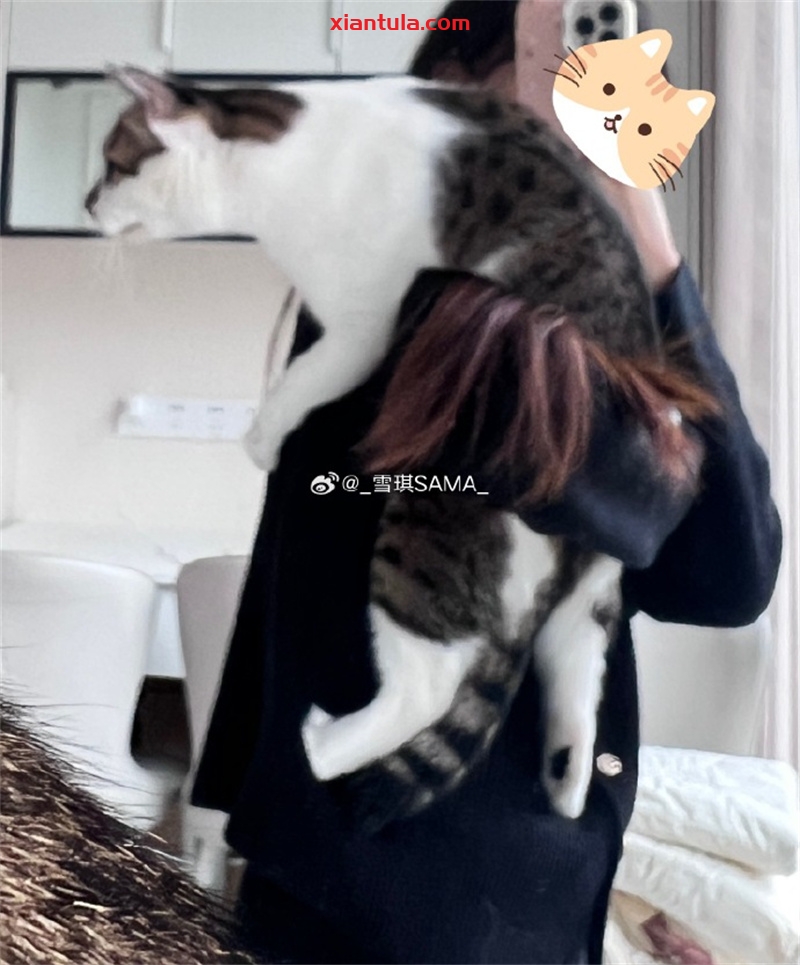 如何像雪琪SAMA一样萌态与实力并存?作品与动态全解析 如何像雪琪SAMA一样萌态与实力并存?作品与动态全解析