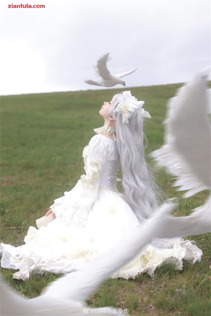 G44不会受伤的惊艳图片合集：绝美造型大揭秘！