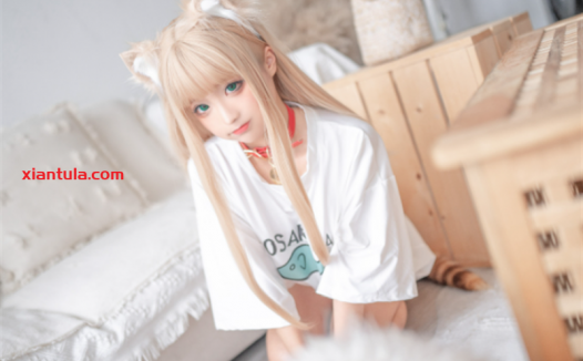 蠢沫沫黄豆粉猫娘尾巴插件147套，下班后更让人动心