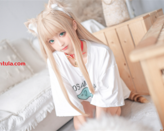 蠢沫沫黄豆粉猫娘尾巴插件147套，下班后更让人动心