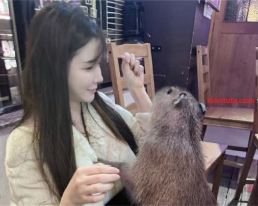 糯美子mini婚纱主题破解版图片大全，粉丝说太养眼了