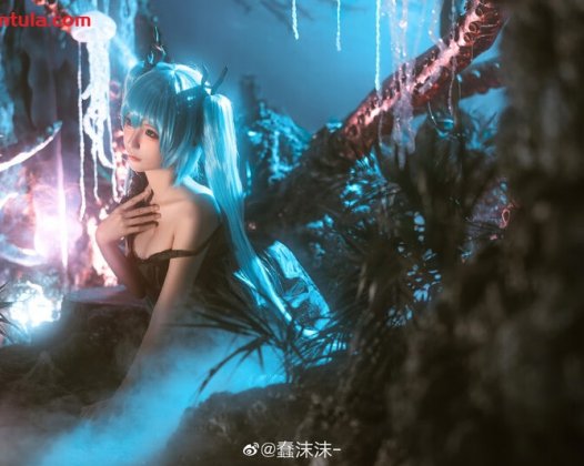 蠢沫沫的无创可贴是哪一期？180套全网图任君挑