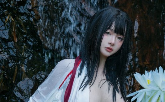 ninja阿寨寨叛忍捕获图片下载，从仙女到忍者的演变