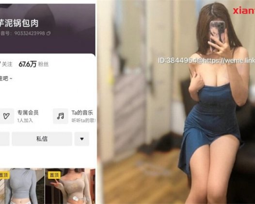 芋泥锅包肉微密图片加视频合集，有你喜欢的吗