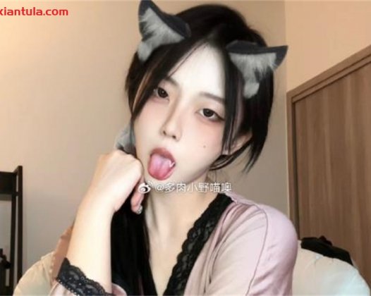 多肉小野猫最全微密资源，多套搭配变宠儿