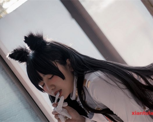 阿半今天很开心付费内容，猫踩奶笑成表情包