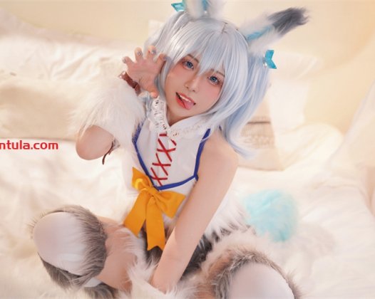 虎森森的迷人世界：下班后的颜值与故事并存