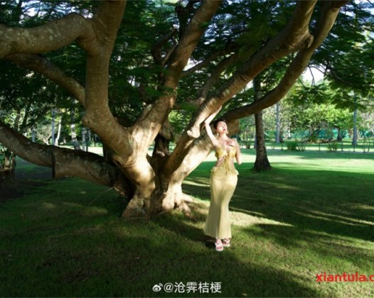 沧霁桔梗事件揭秘：靠二次元图片让结局华丽逆袭